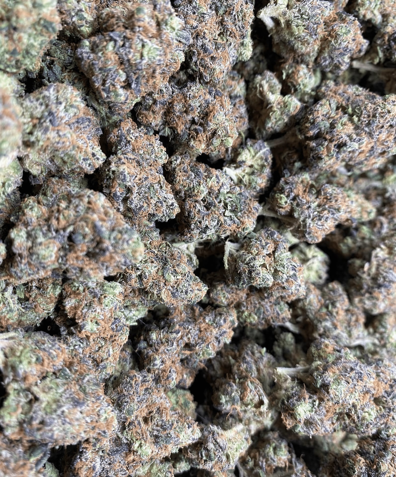 Madibaweeds