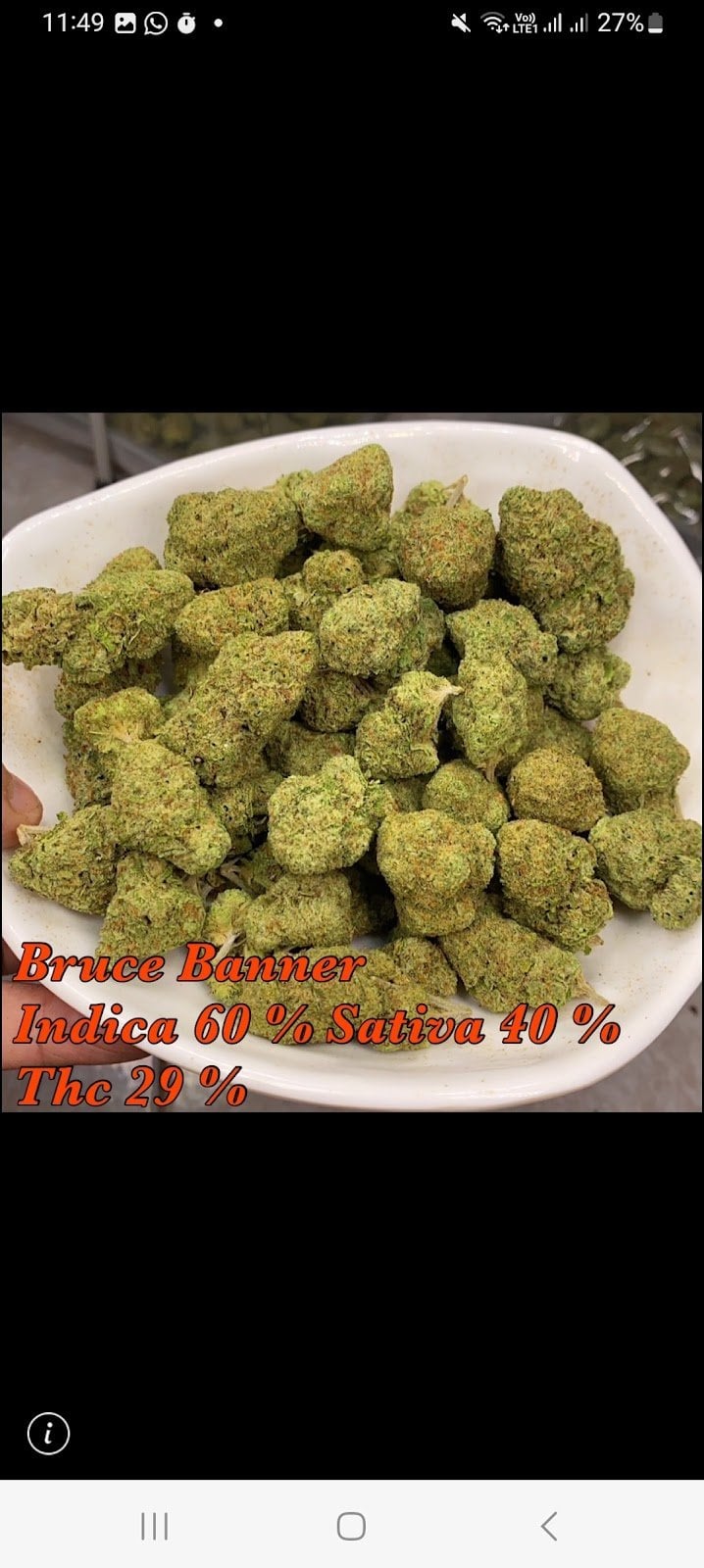 Happy Cannabis Delivery - Weed Coffeeshop