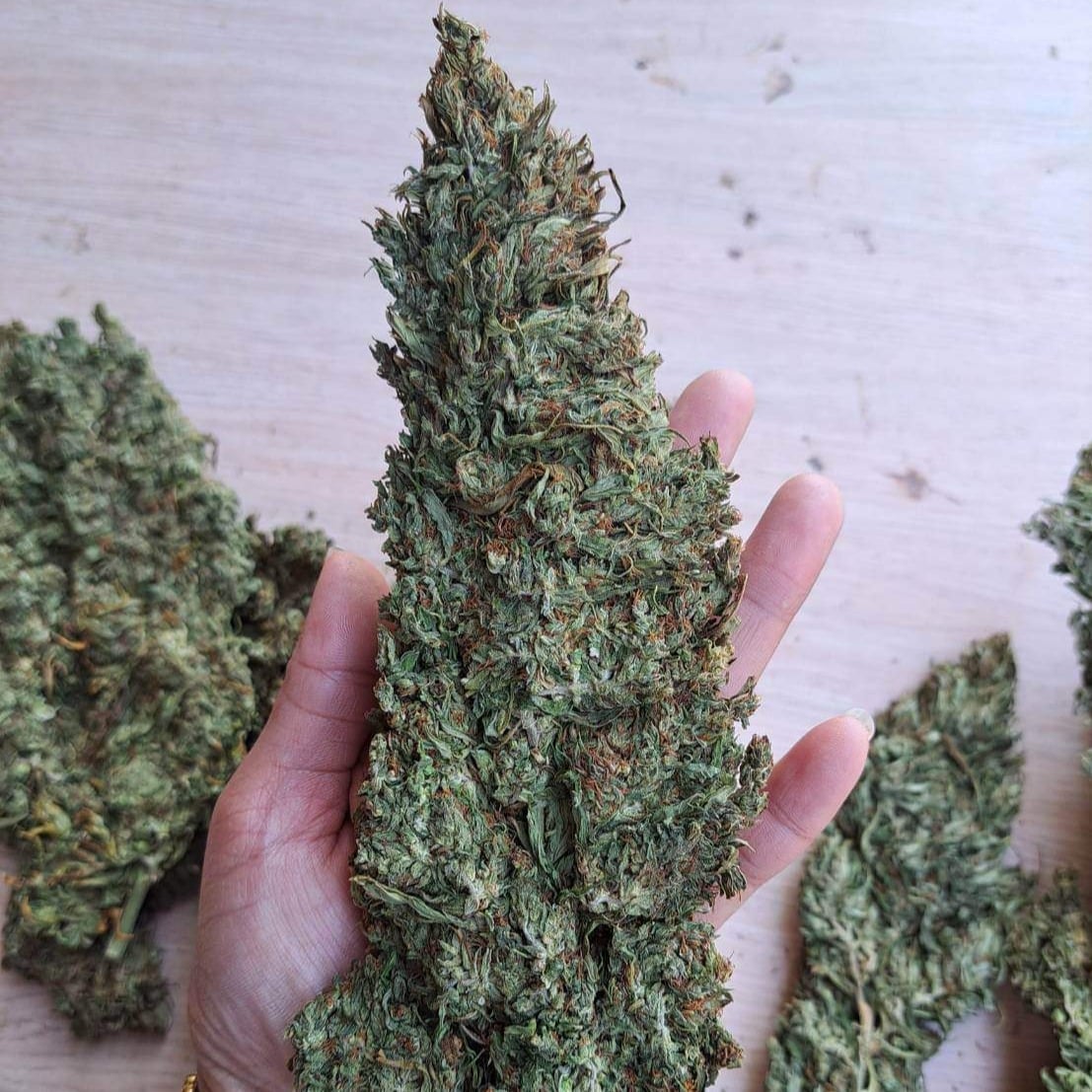 Smoke Weed