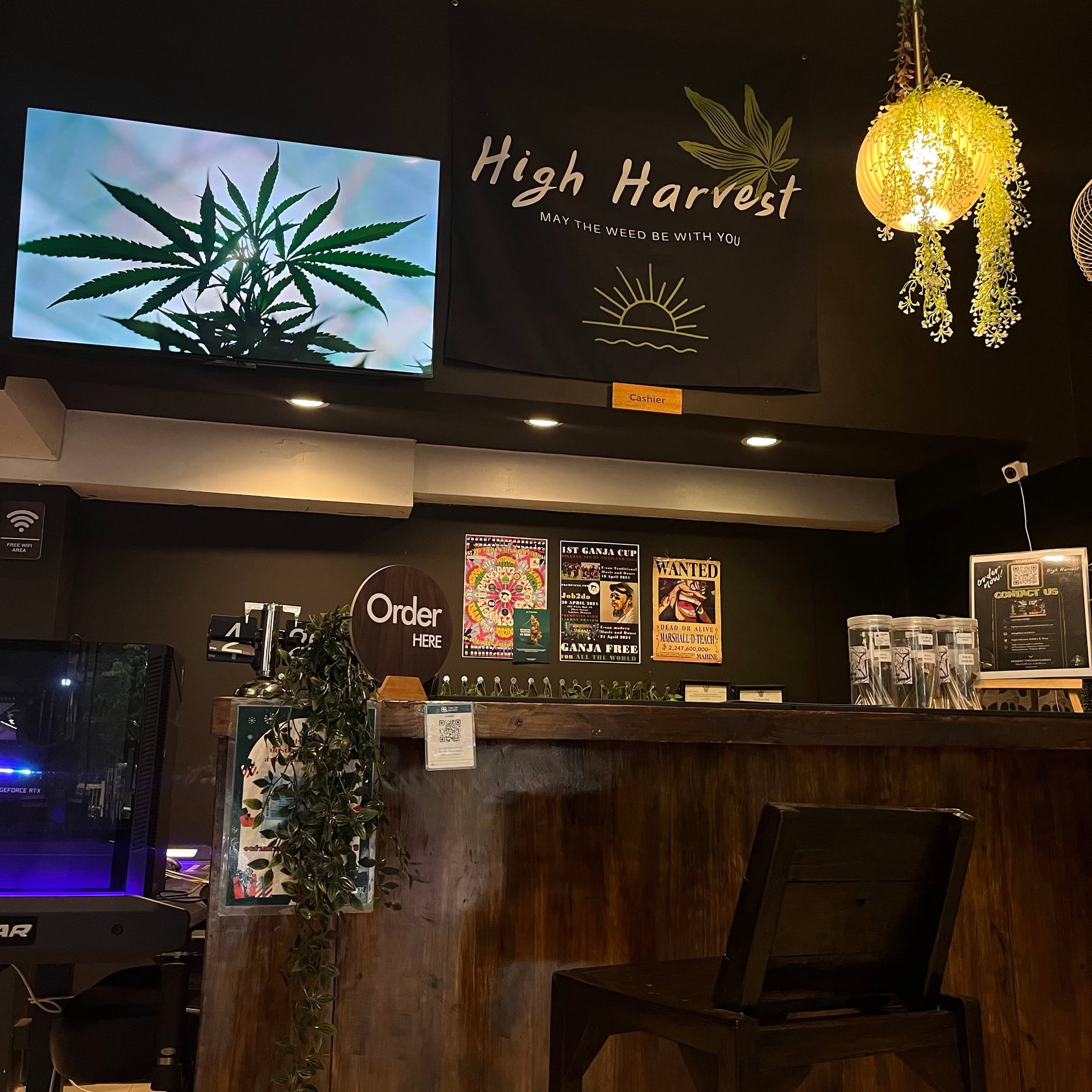 High Harvest Cannabis Gallery Shop & Farm Weed