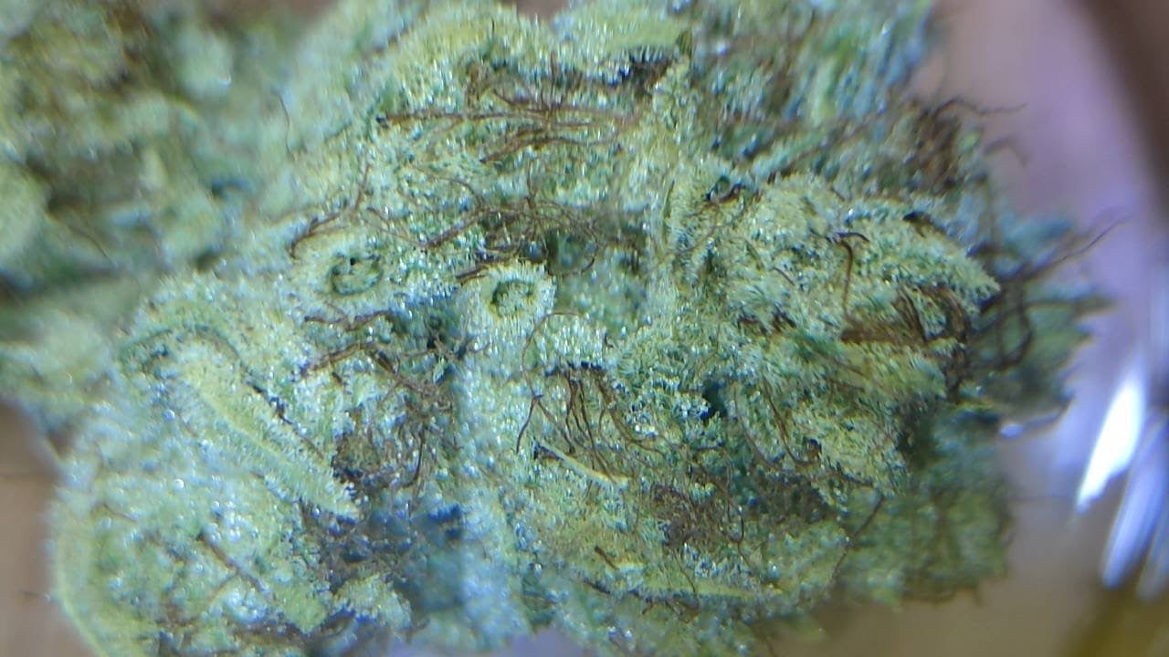 Jungle Garden Cannabis Dispensary Klong Prao