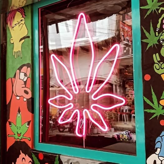 Magic Cannabis Pattaya