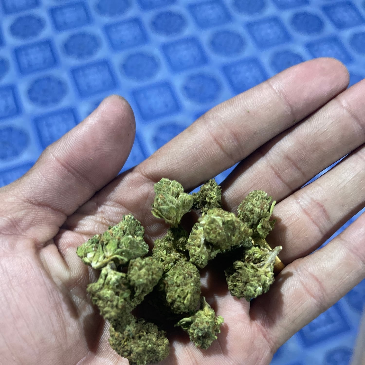 Cannabis Shop By