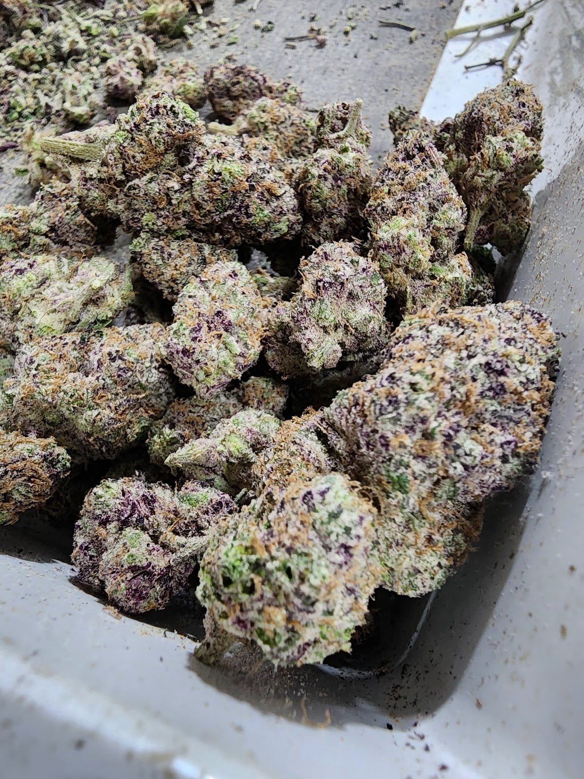 MooBin Cannabis