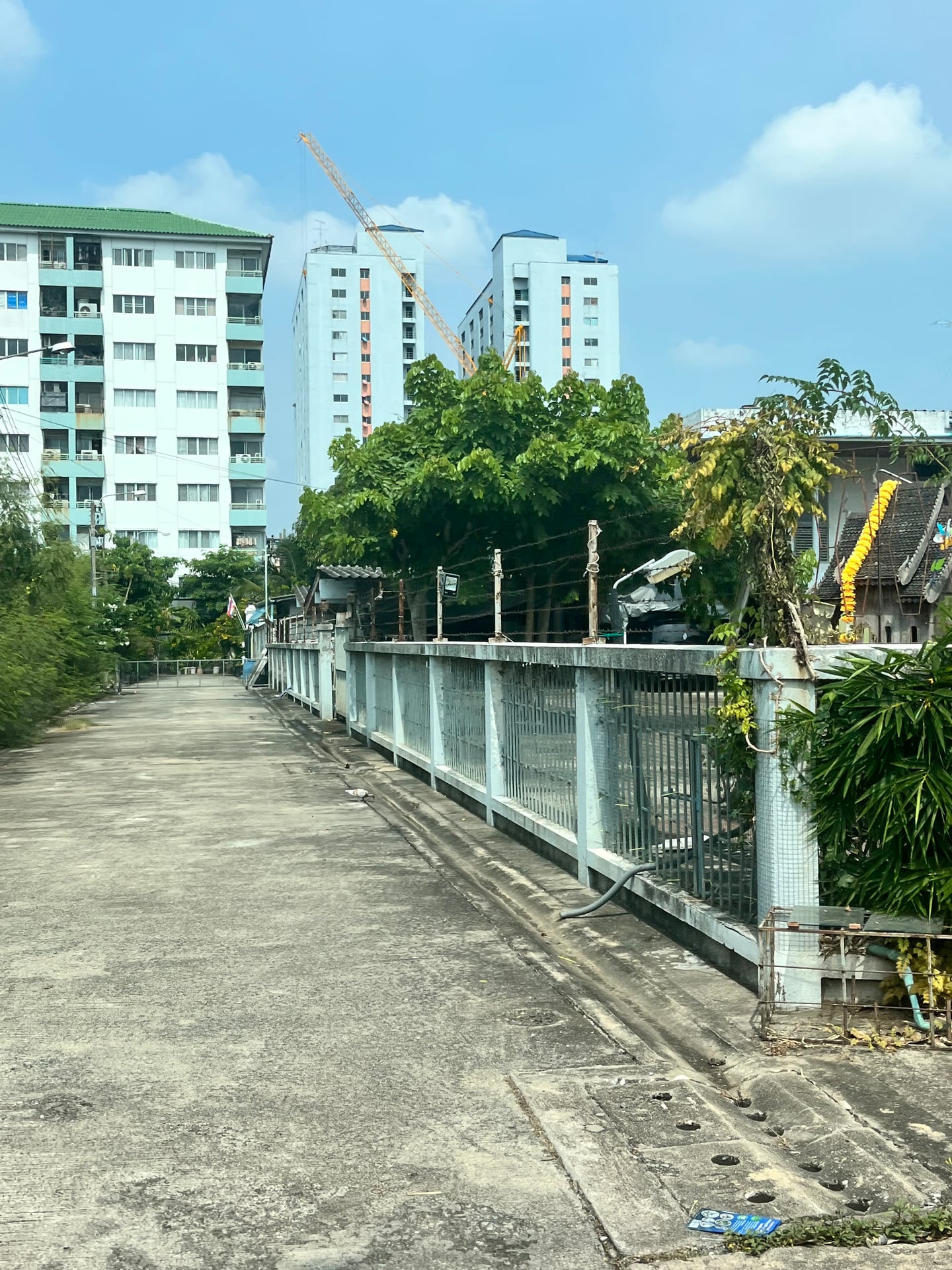 Phuakkan Cannabis Ramkhamhaeng