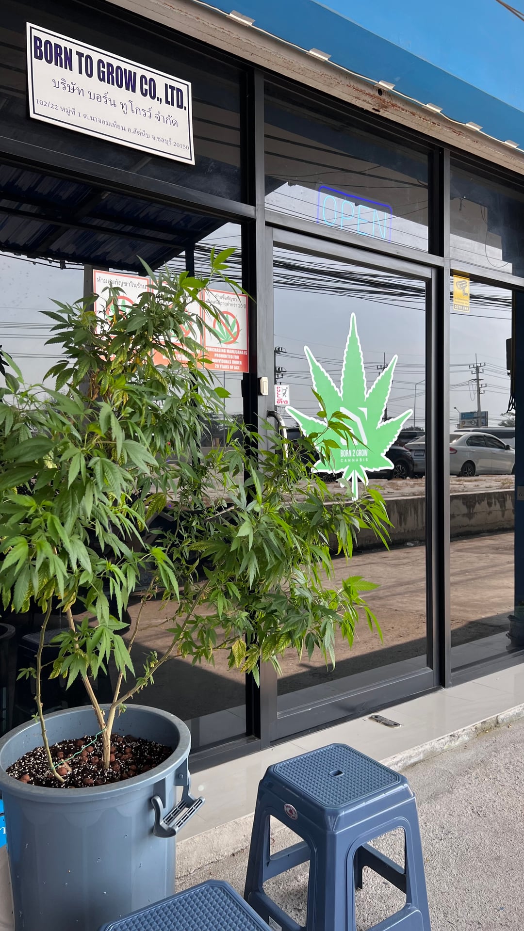 Area 420