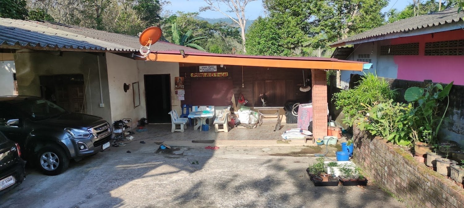 Cannabis Phipun Of Countryman