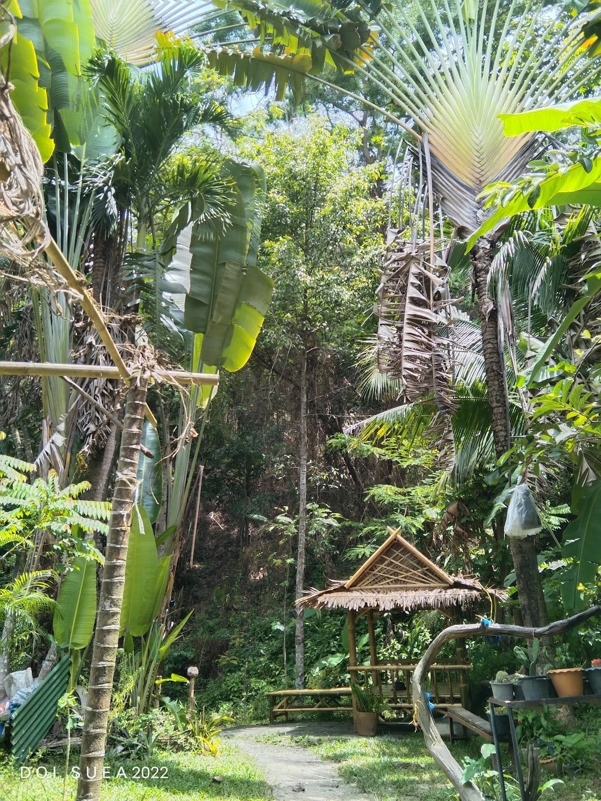 Doi Suea Viewpoint Weed Cafe'