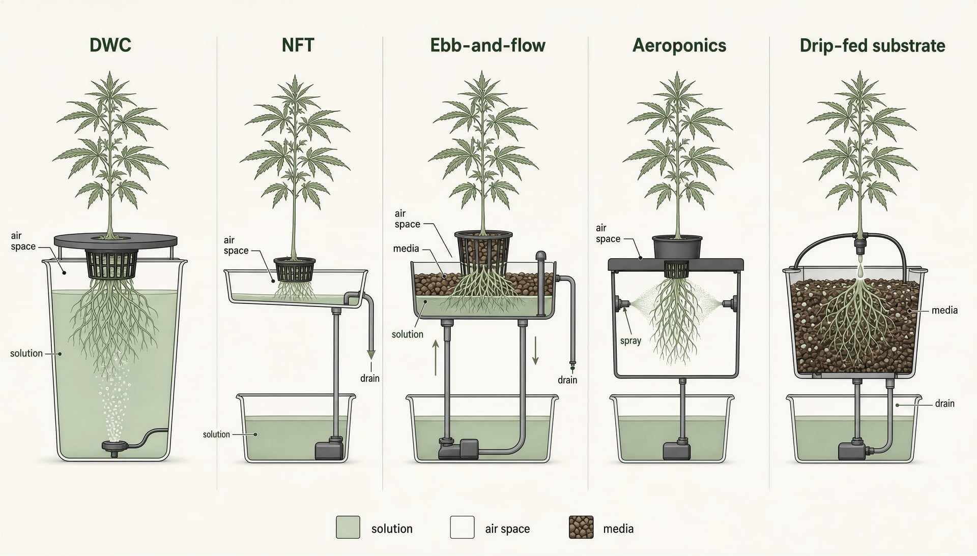 الدليل الكامل للزراعة المائية وزراعة cannabis 2026