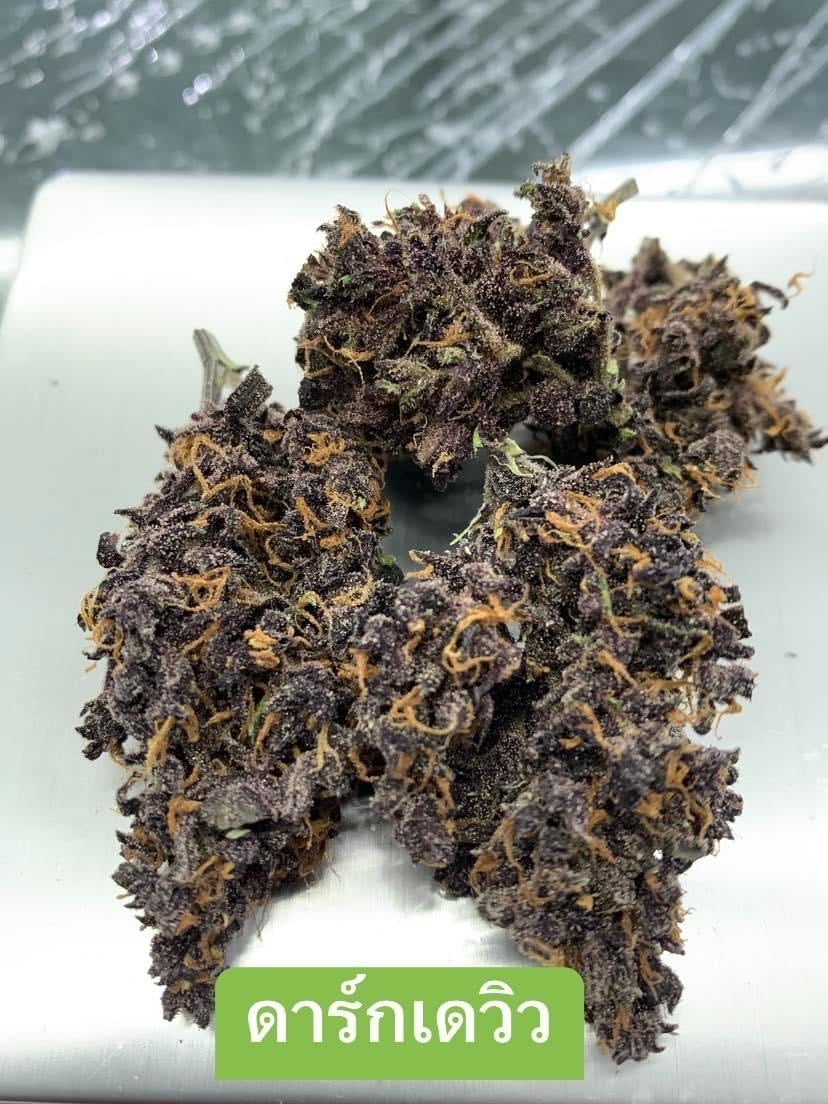Warp Cannabis Marijuana