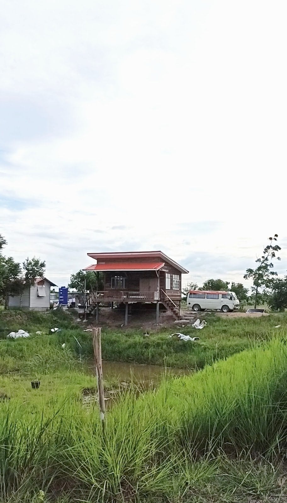 Homely Garden