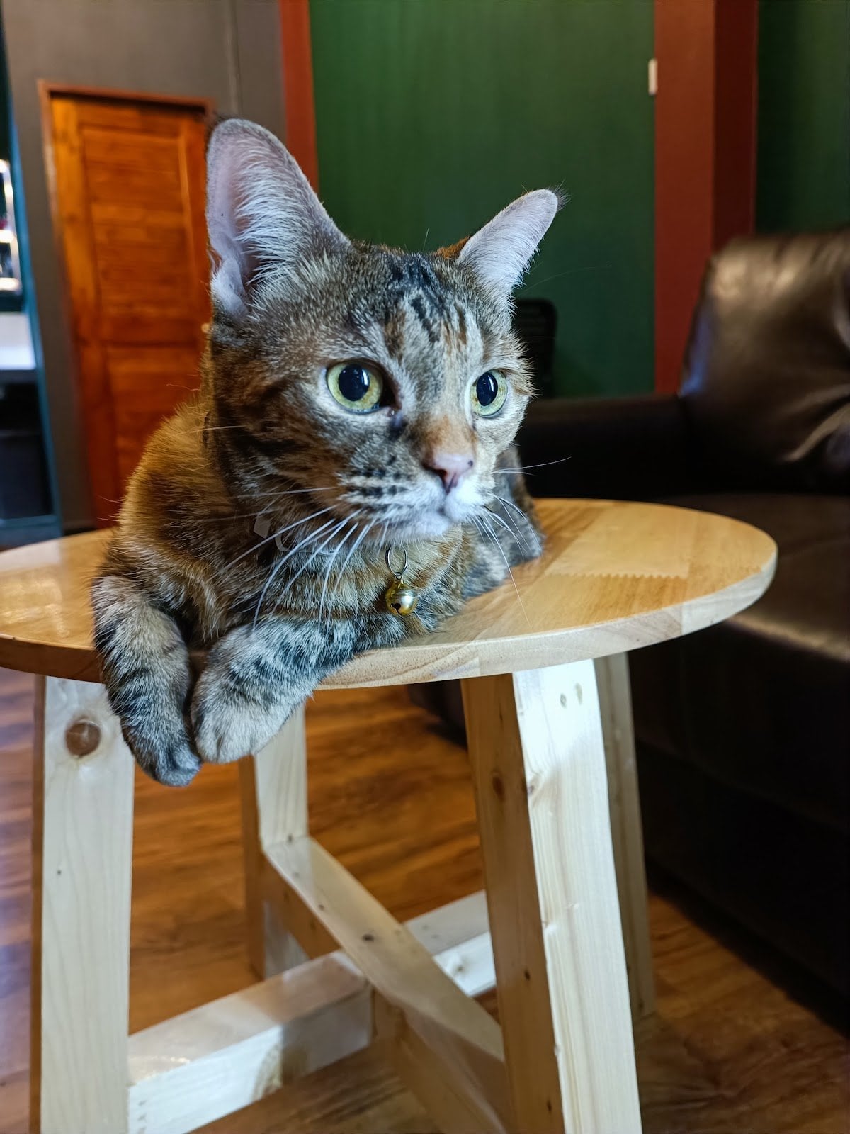 Mickies Coffeeshop