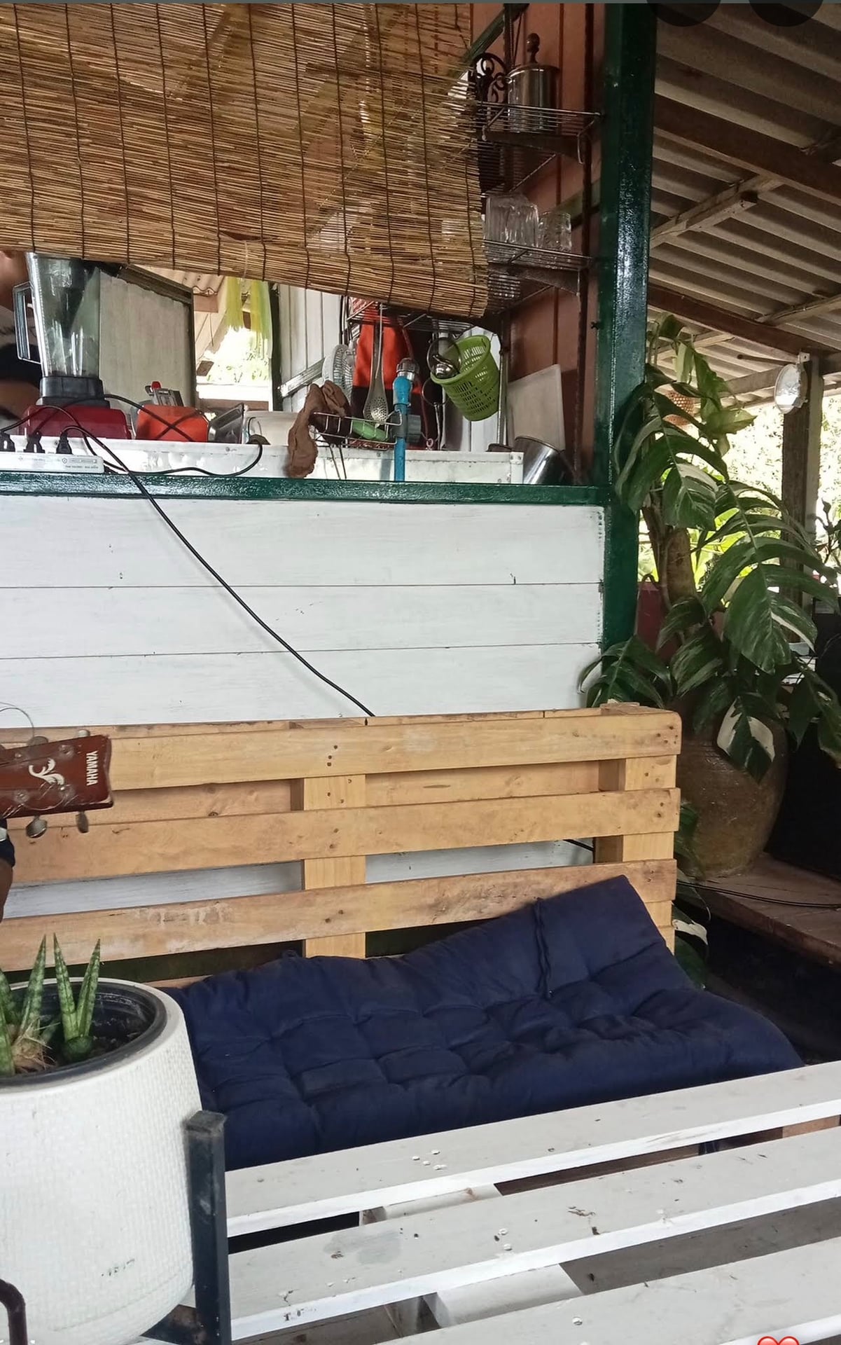 WEED BONG Klongwong Songkhla , , , Onkruid, Mauvaise Herbe
