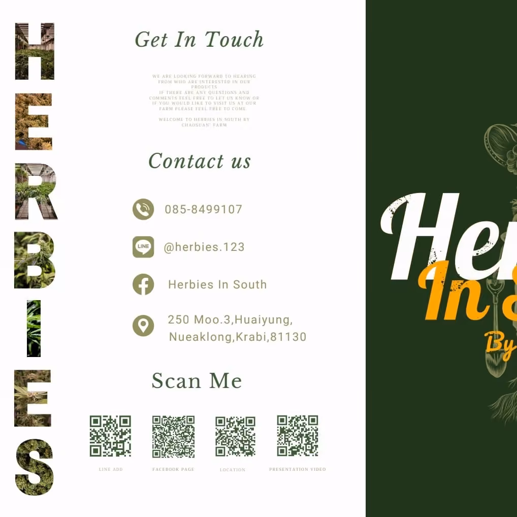 大麻社交俱乐部 Herbies In South Cannabis Store Enjoy Ao Nang 标志
