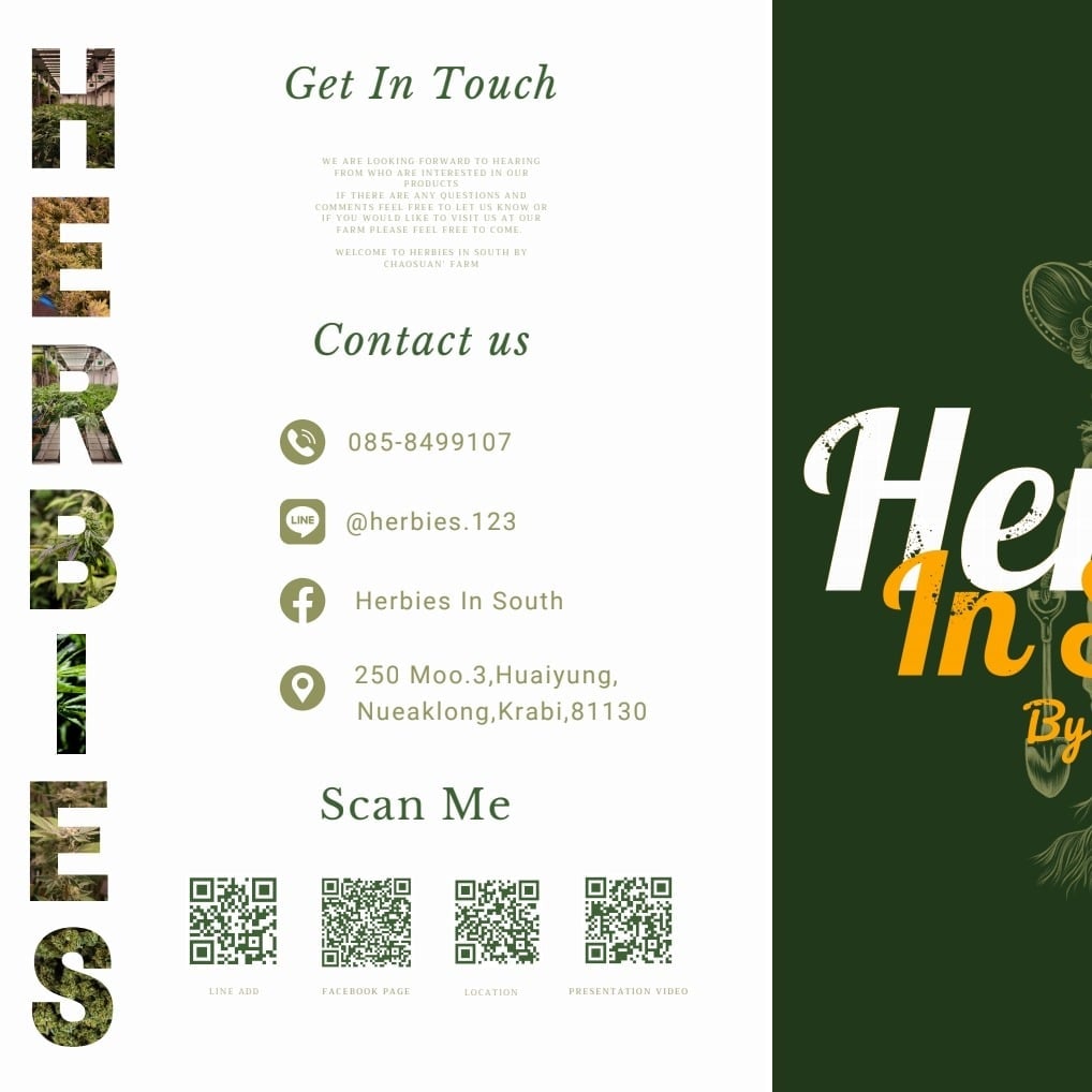 Herbies In South Cannabis Store Enjoy Ao Nang logo
