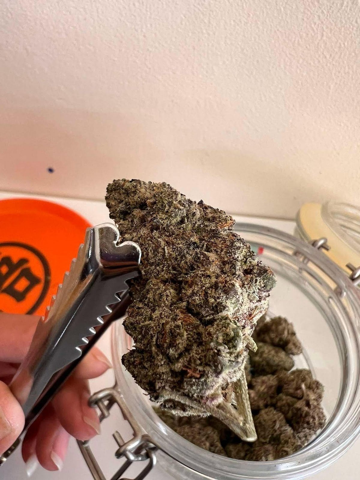 Stoner Genetix