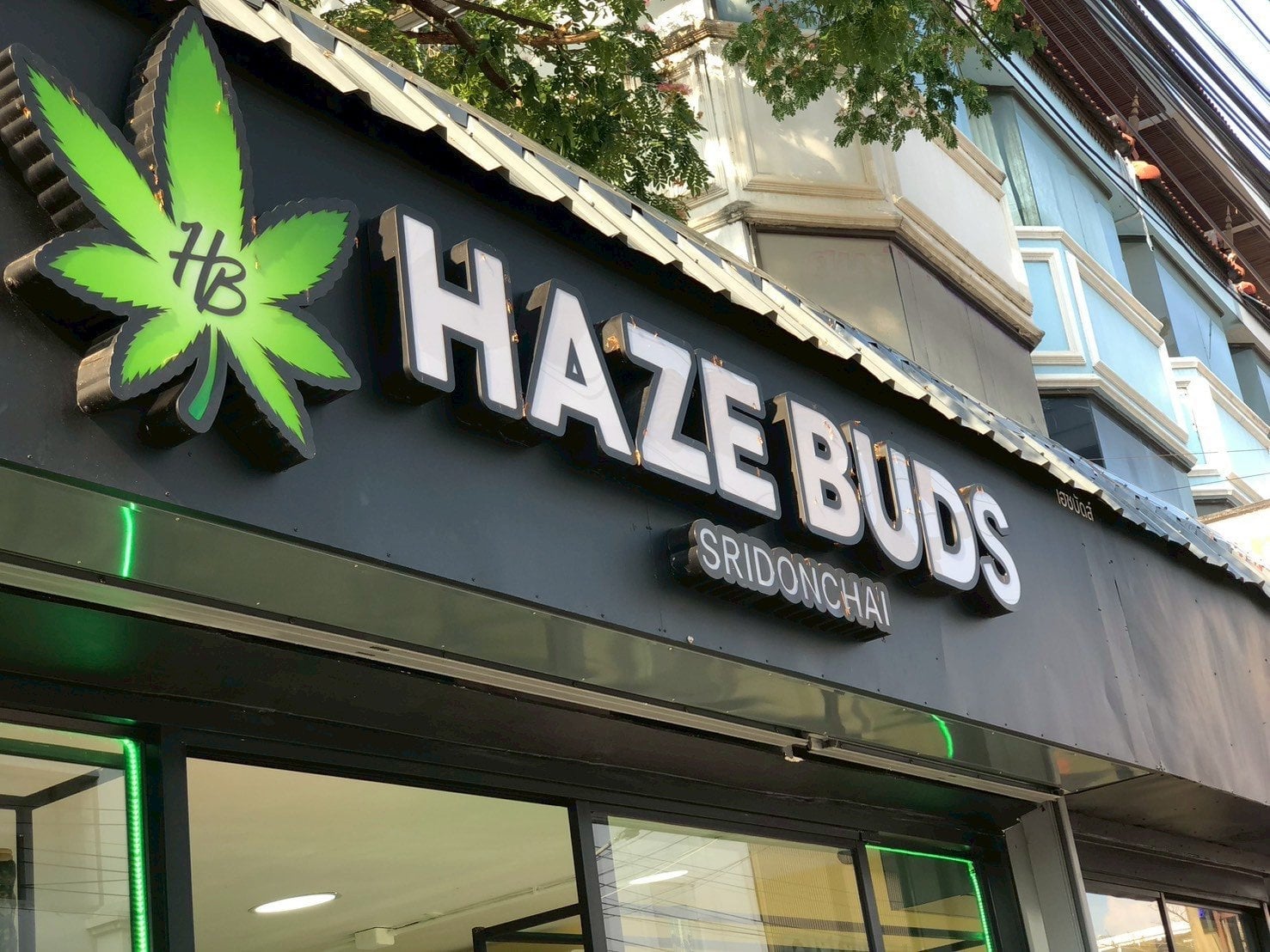 Haze Buds Cannabis Chiang Mai Sridonchai Night Market