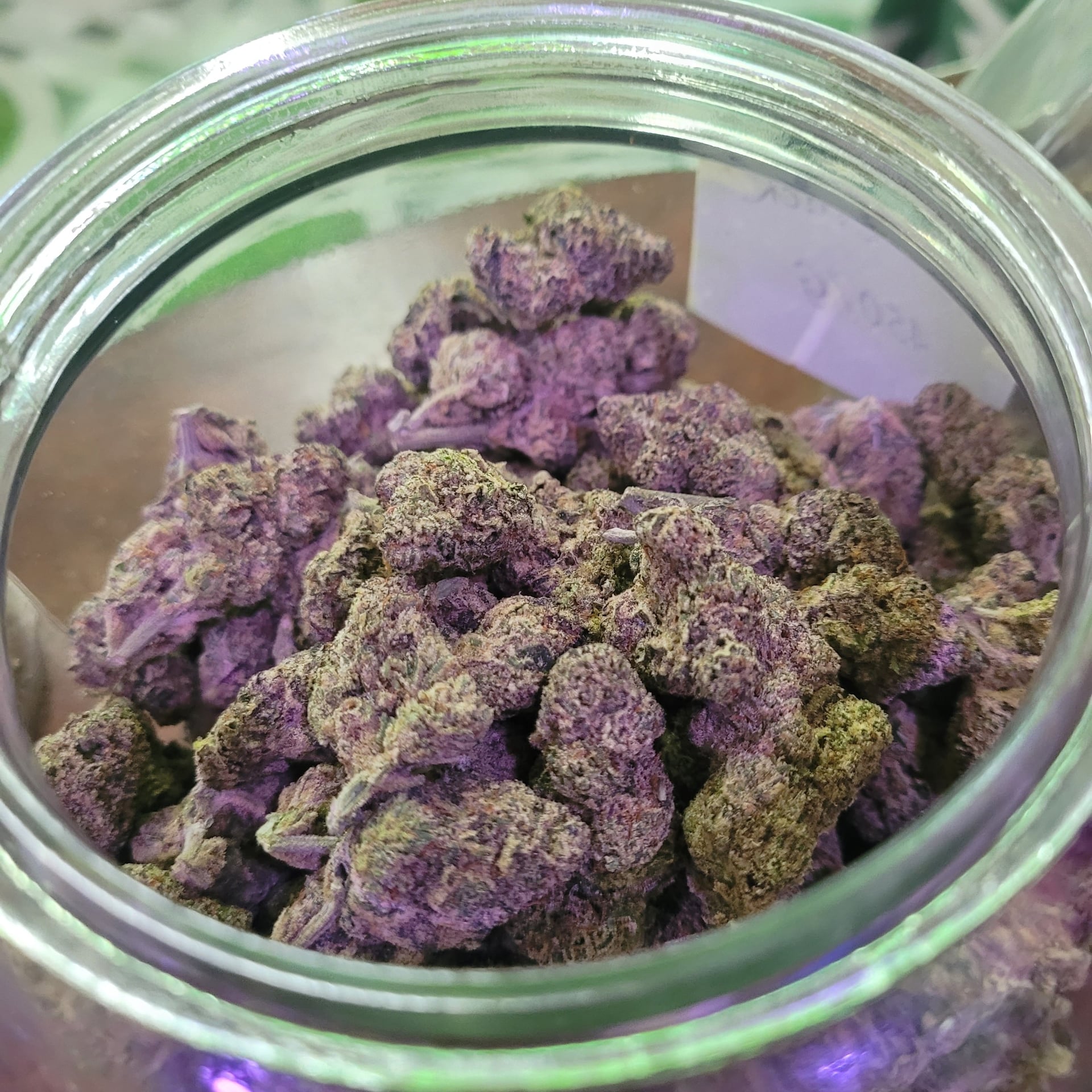Greenbird House Cannabis By Ble