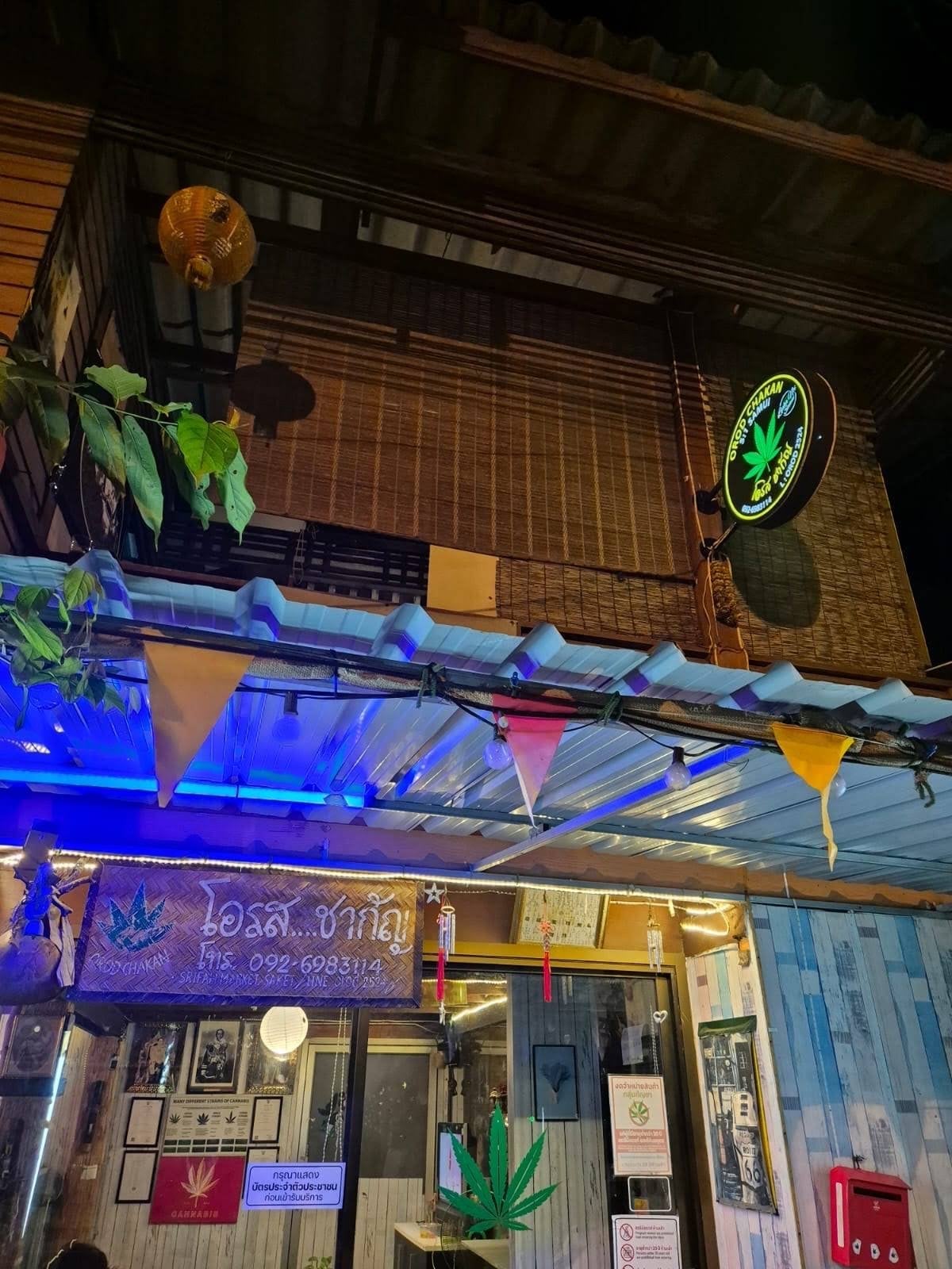 Orodchakan Samui Cannabis