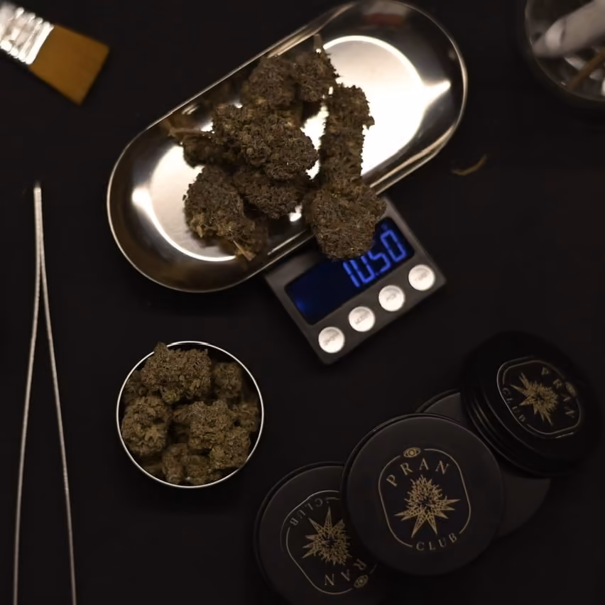 Cannabis Social Club Pran Club Pattaya logo