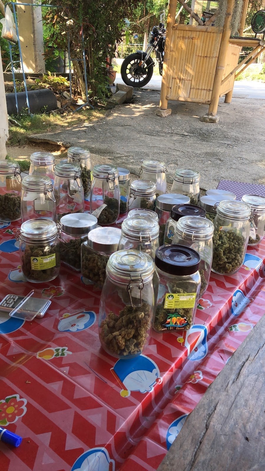 Chaepweedshop2