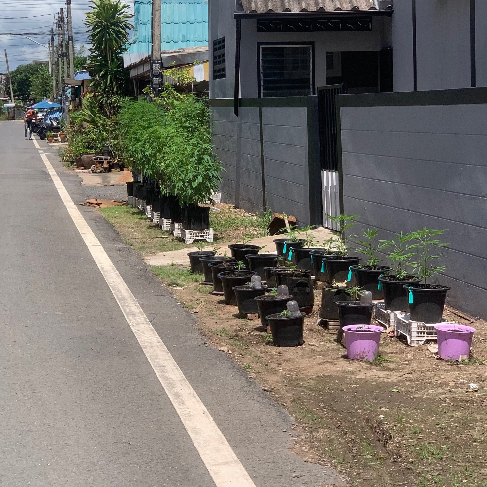 Sriwichai