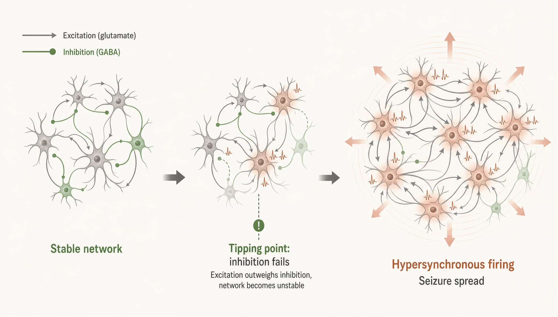 Cannabis en epilepsie: CBD, THC, klinische onderzoeken en dosering