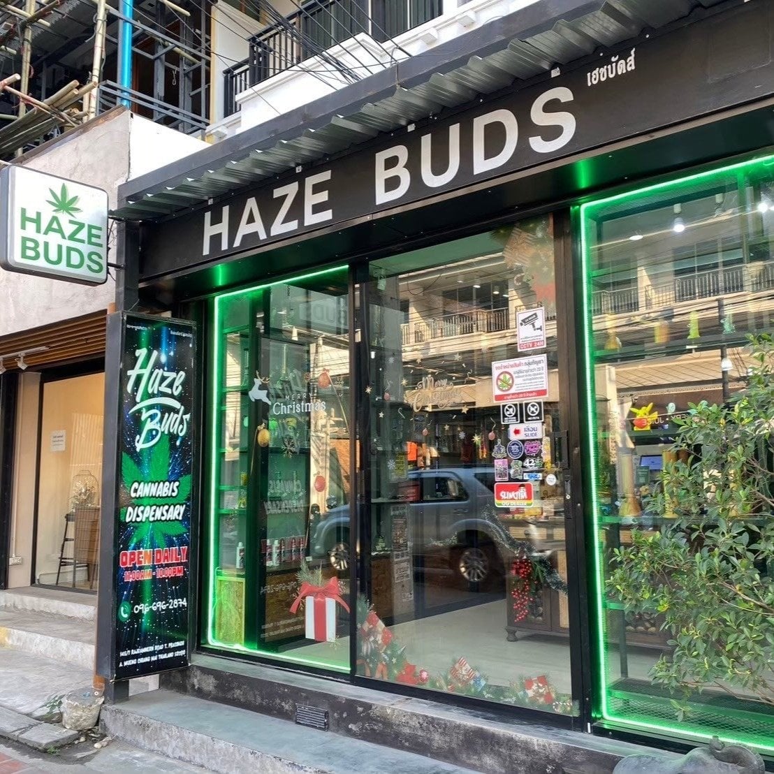 Haze Buds Cannabis Chiang Mai Sunday Walking Street Weed