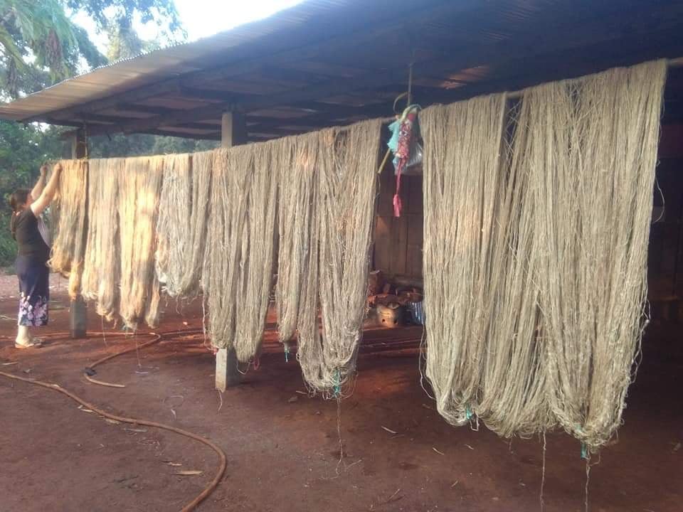 Hemp Weaving Group