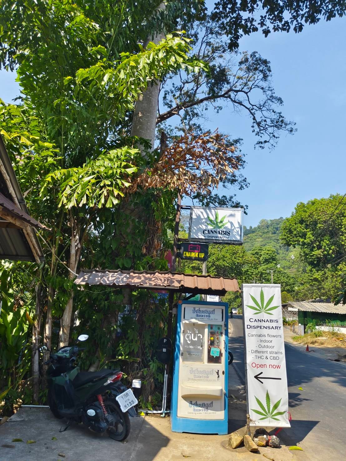 Jungle Garden Cannabis Dispensary Bailan