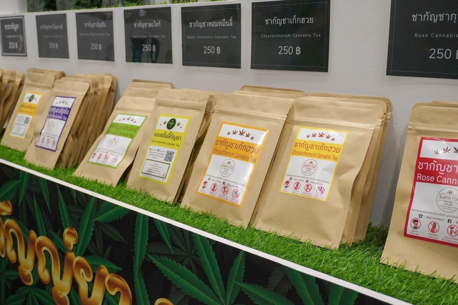 GoGreen By Kanya - Central Chiangmai Airport