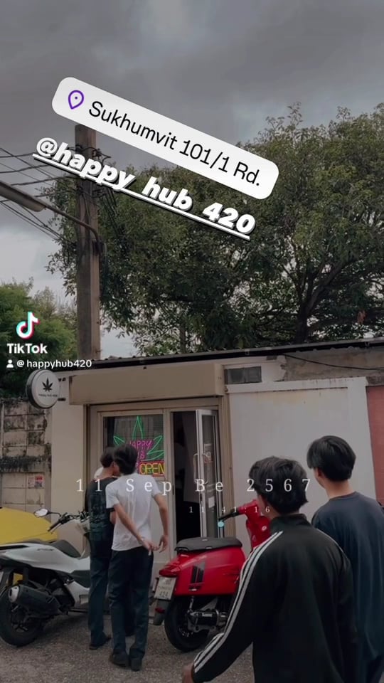 Happy Hub 420 - Weed Shop & Cannabis
