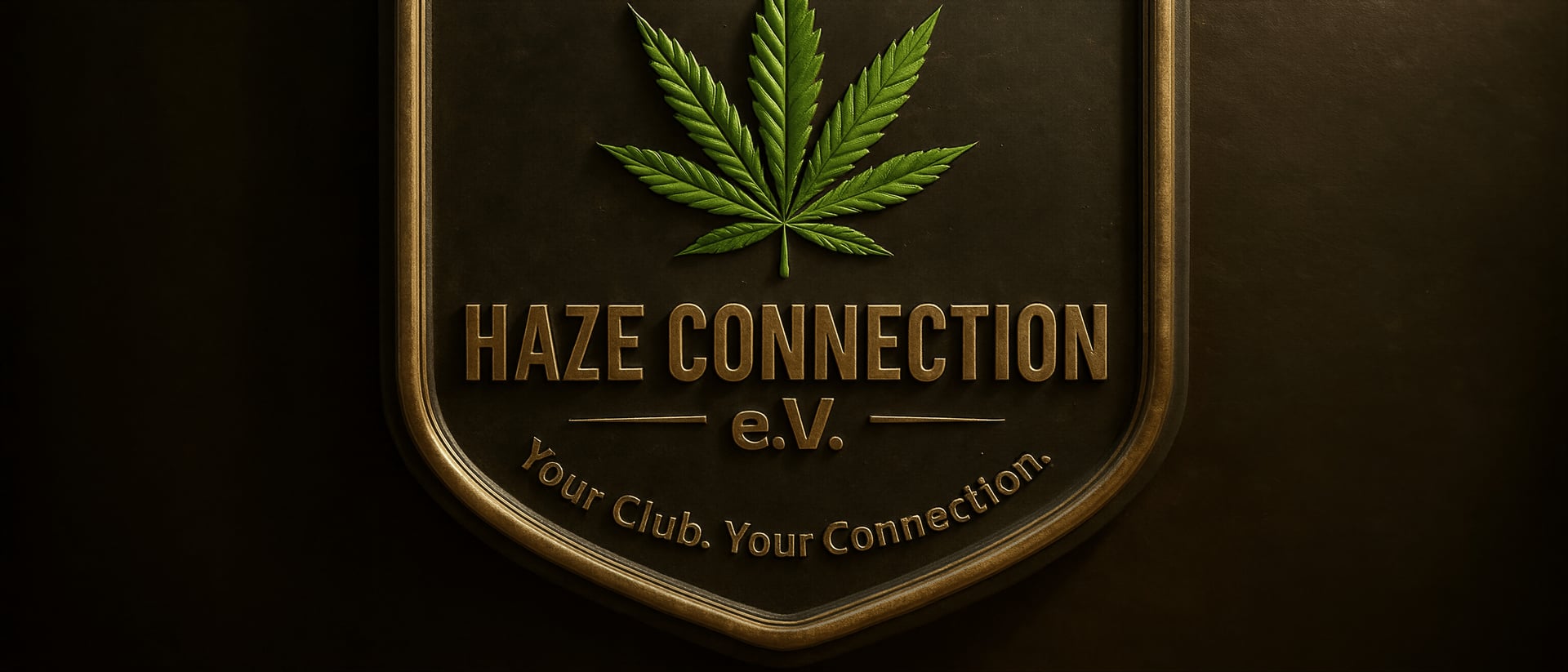 Haze Connection e.V hero