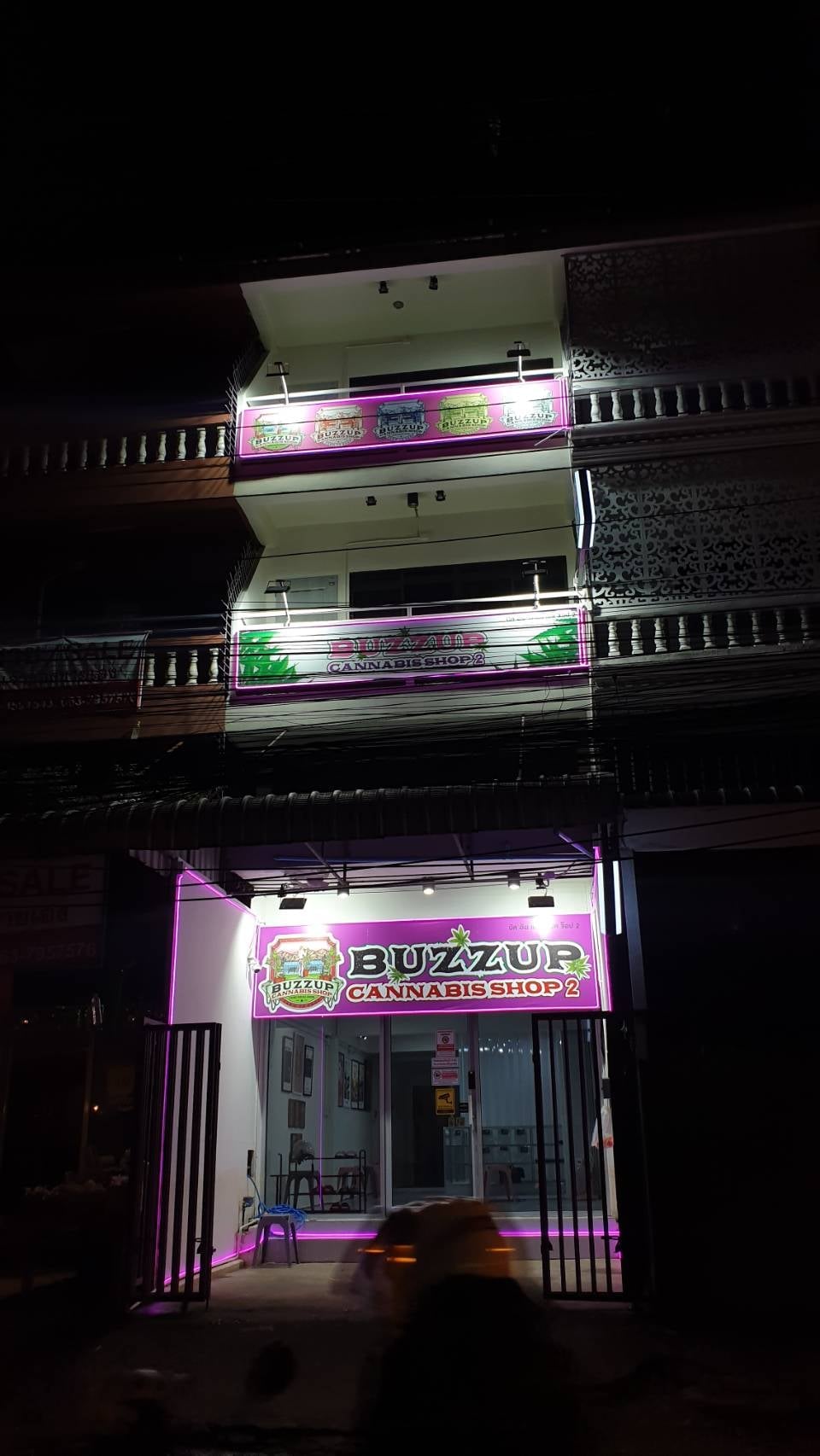 Buzzup Cannabis Shop & Guesthouse - Fang's Unique Terroir & Terpene-Rich