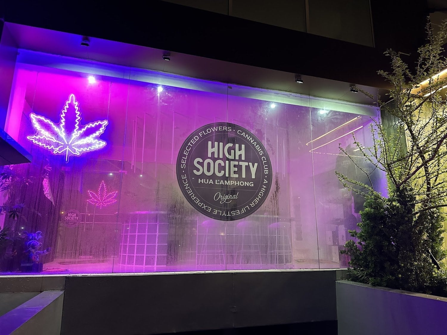 High Society Cannabis Club Hua Lamphong