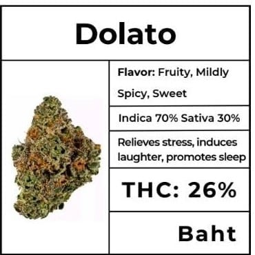 Weed Shop 69 Up High