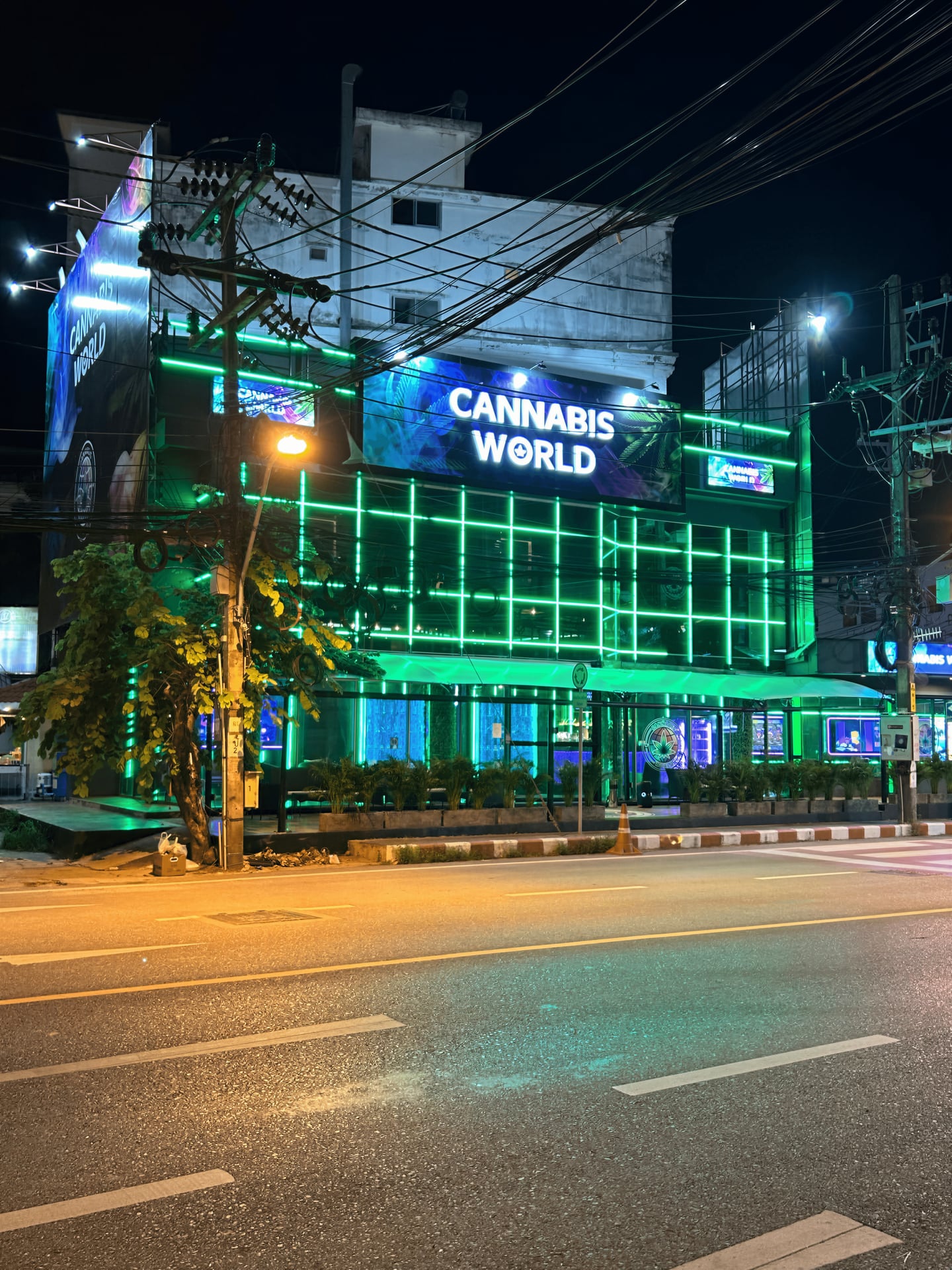 Cannabis World
