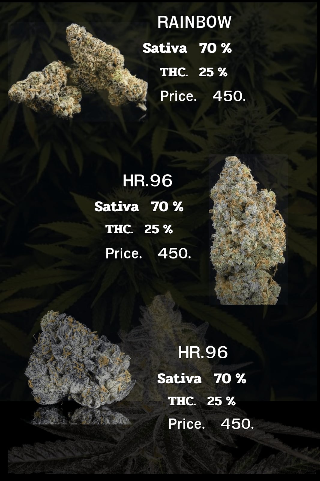 Cannabis Hr.96