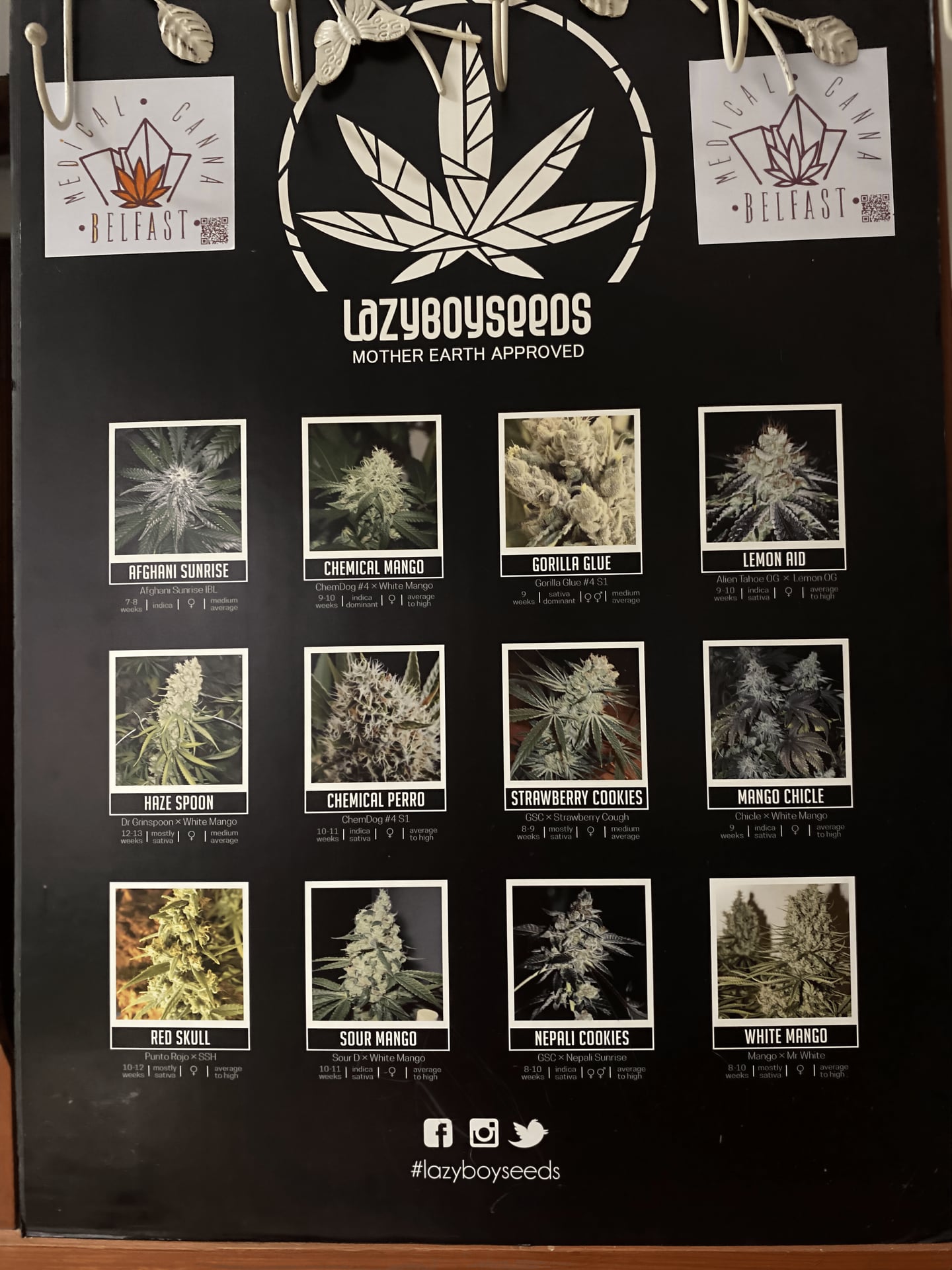 Clubcannabisvins