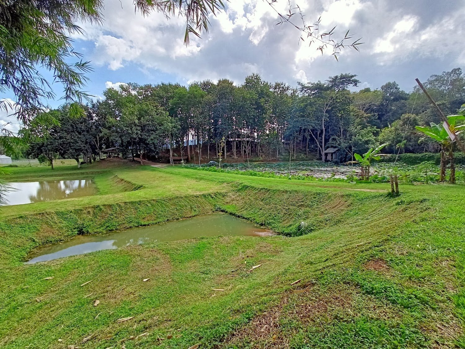 Innoleaf Valley