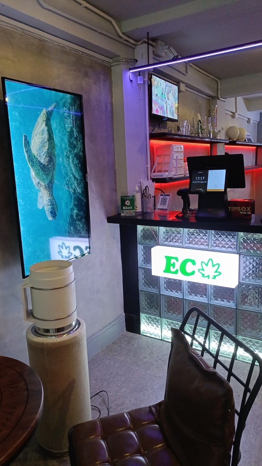 Ec Cafe Bangkok Sukhumvit33 1 Everyone Cannabis