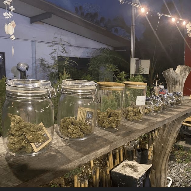 Cannabis Shop. Bar. Restaurant