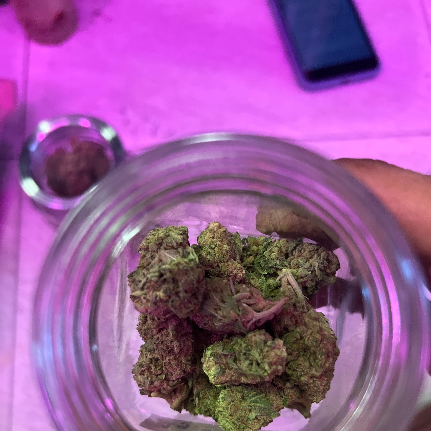 Nl Cannabis