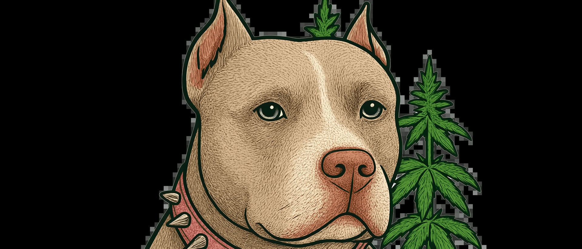Pitbull Verde Cannabis Club (CSC) hero