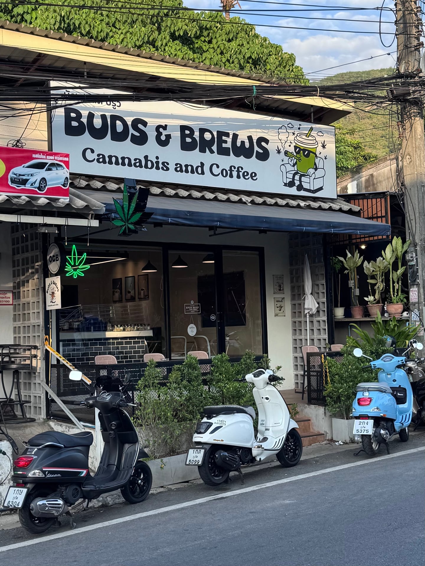 Buds