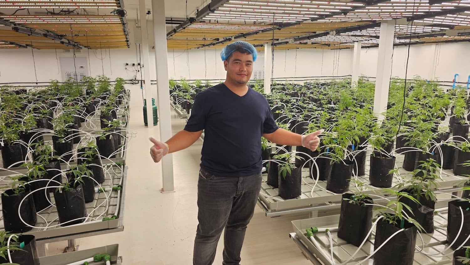 Green Gold Farm