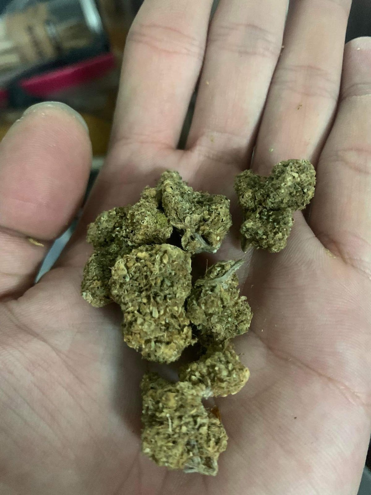 Guinness Cannabis