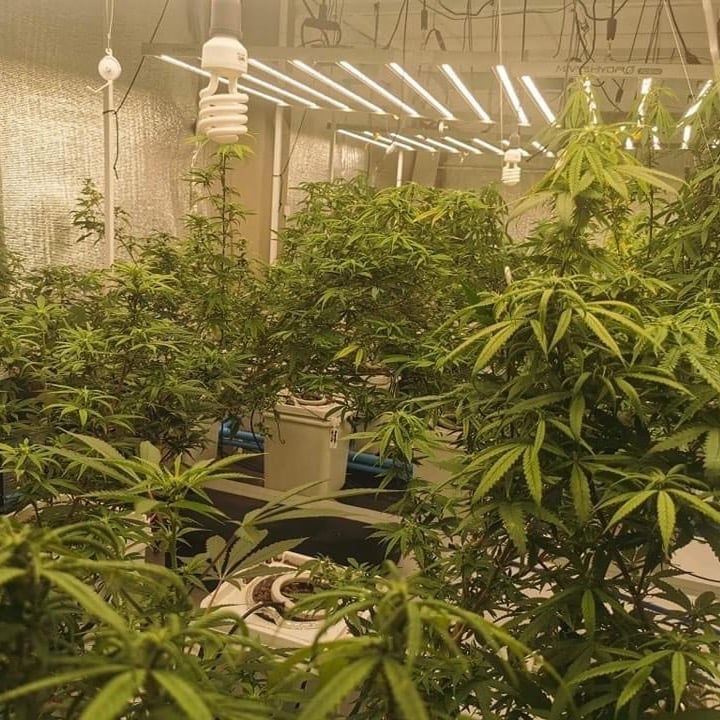 THC Rayong