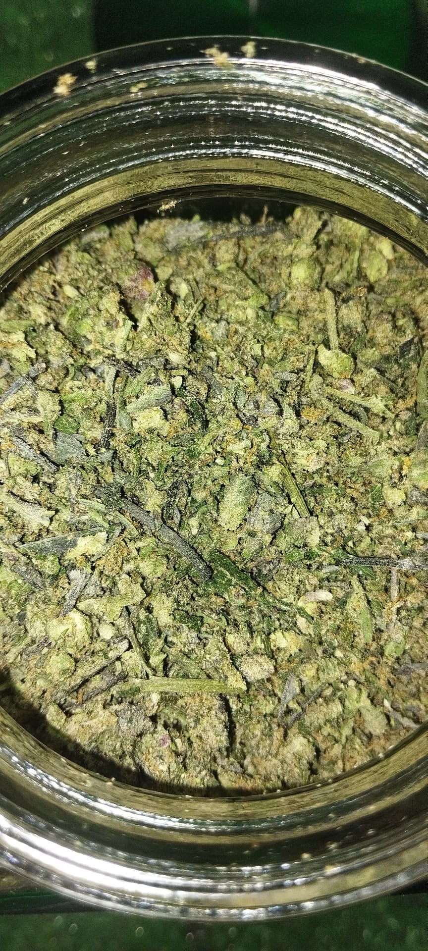 Zweed Sloth