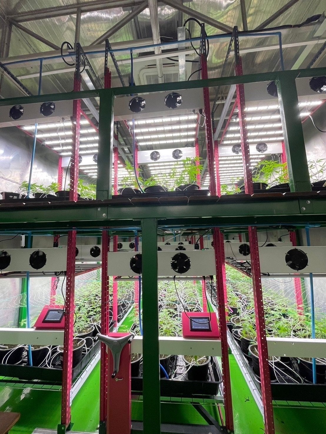 Good Time Aonang Cannabis